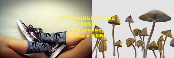 ешки Аркадак