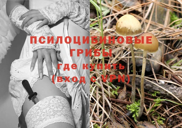 ешки Аркадак