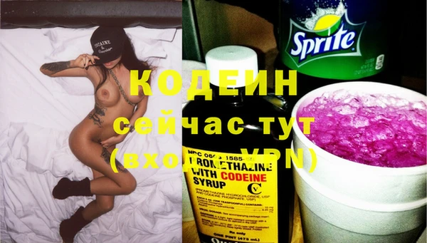 ешки Аркадак