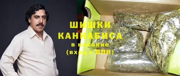ешки Аркадак