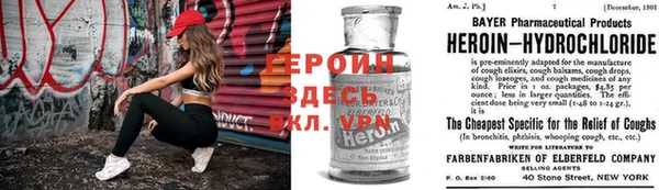 ешки Аркадак