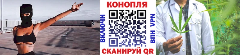 Конопля MAZAR Нефтекумск
